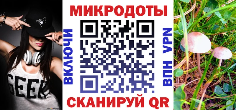 Галлюциногенные грибы Psilocybe  где купить наркотик  Короча 